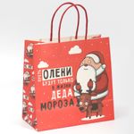 Подарочный пакет Дед мороз (22 х 22 х 11 см)