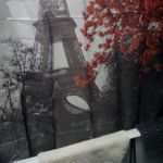 Шторка для ванной Париж Отзыв