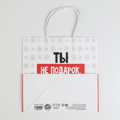 Подарочный пакет Ты не подарок (22 х 22 х 11 см) Подарочный пакет Ты не подарок (22 х 22 х 11 см)