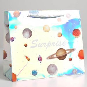 Подарочный пакет Surprise (27 х 23 х 11,5 см)