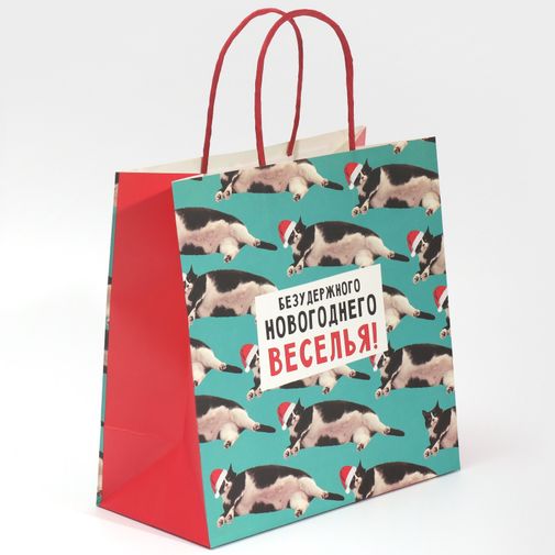 Подарочный пакет Веселье (22 х 22 х 11 см) Подарочный пакет Веселье (22 х 22 х 11 см)