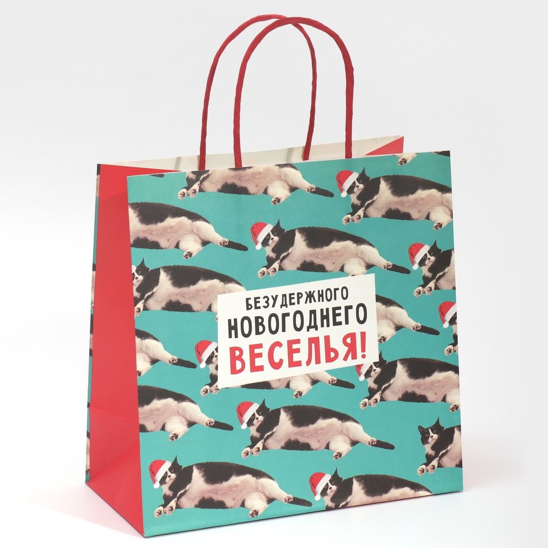 Подарочный пакет Веселье (22 х 22 х 11 см) Подарочный пакет Веселье (22 х 22 х 11 см)