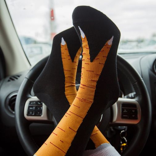 Рулить как курица лапой Рулить как курица лапой