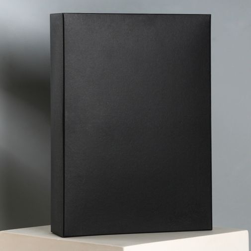 Ежедневник со встроенной зарядкой и флешкой Мои цели