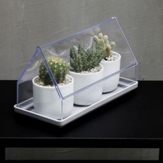 Лоток для выращивания растений Micro Green House