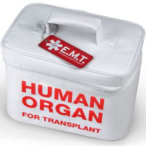 Сумка Холодильник Человеческий орган Human organ