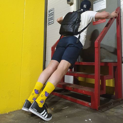 Носки Коллега, который съел холодильник