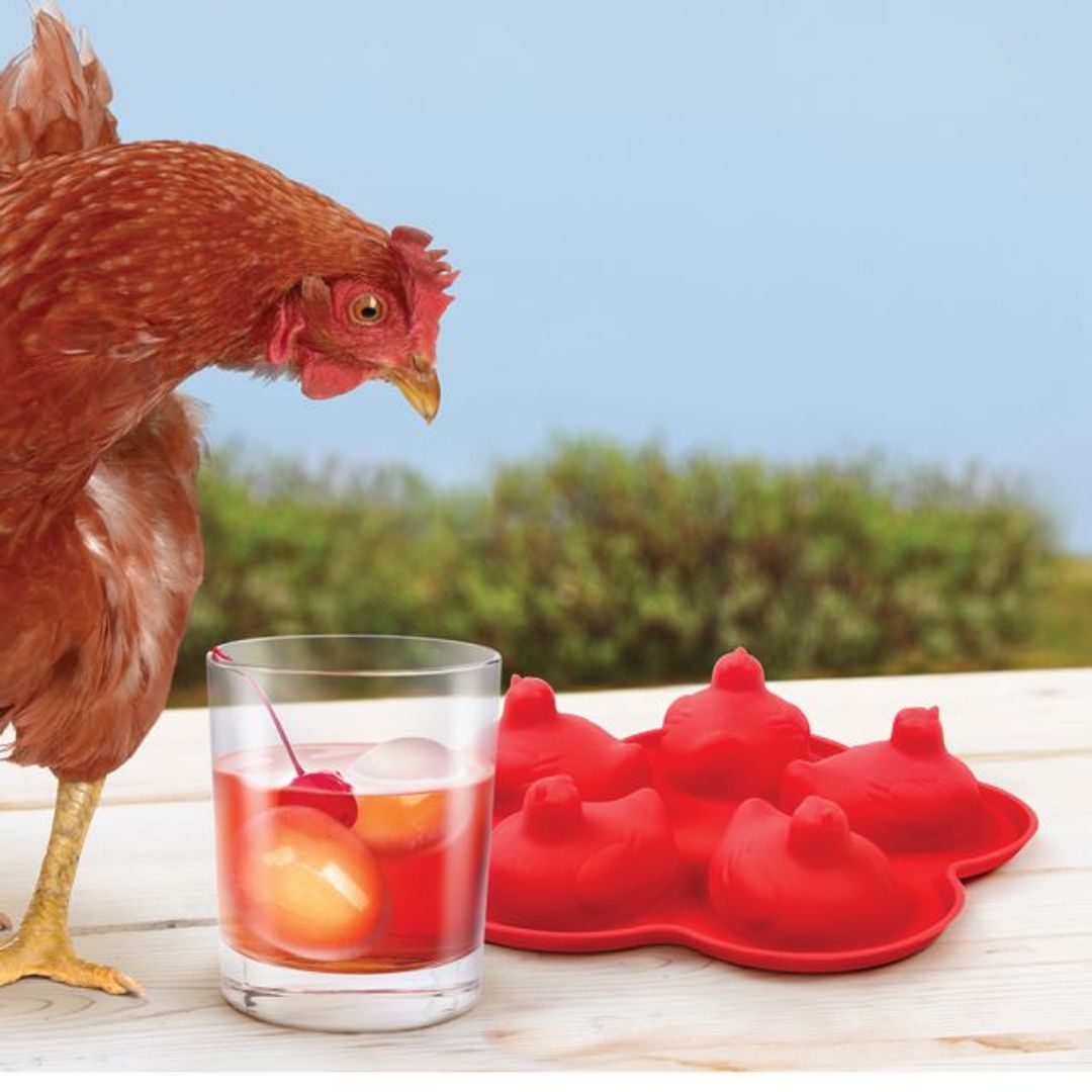 Форма для льда Вылупляющийся цыпленок Hatached Форма для льда Вылупляющийся цыпленок Hatached