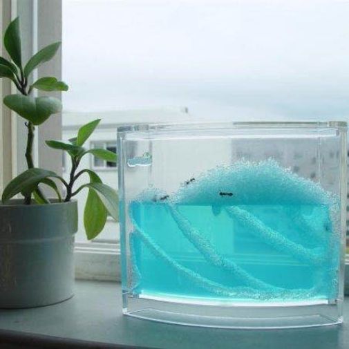 Муравьиная ферма с подсветкой Ant Space