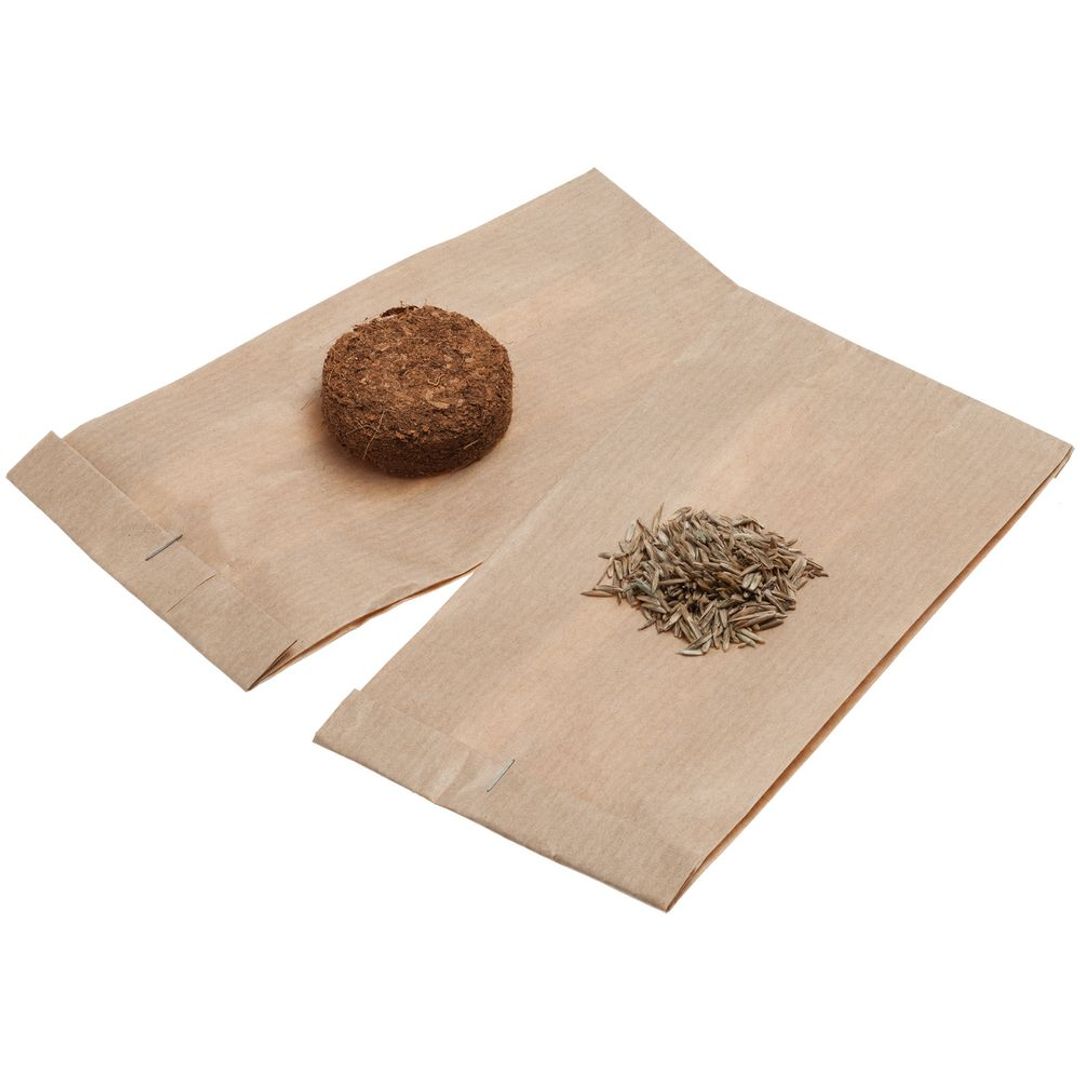 Набор для выращивания Funky Kid Набор для выращивания Funky Kid