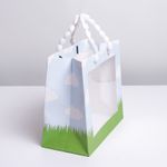 Подарочный пакет с пластиковым окном Friends (24 х 20 х 11 см)