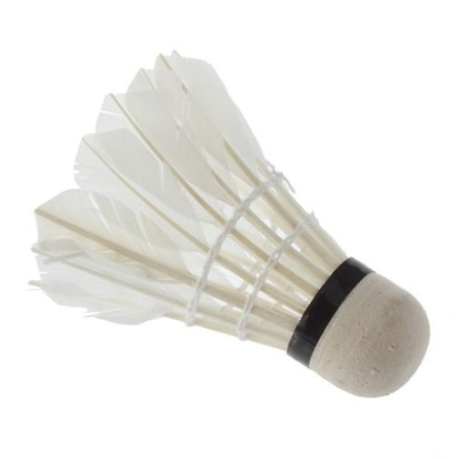 Светящиеся воланы (4 шт.) Светящиеся воланы (4 шт.)