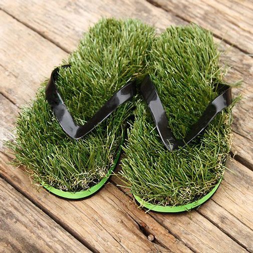 Травотапки