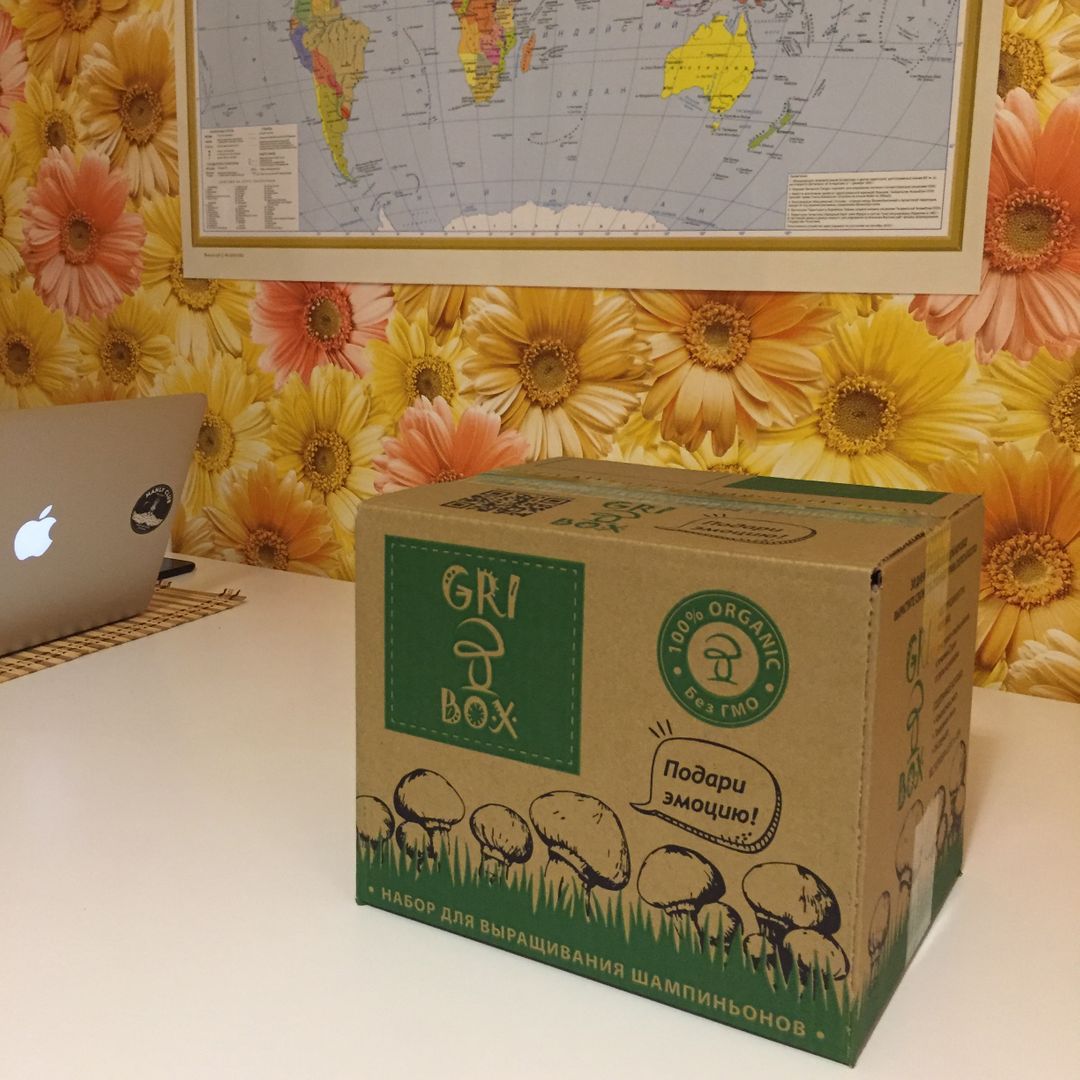 Набор для выращивания шампиньонов Gribox