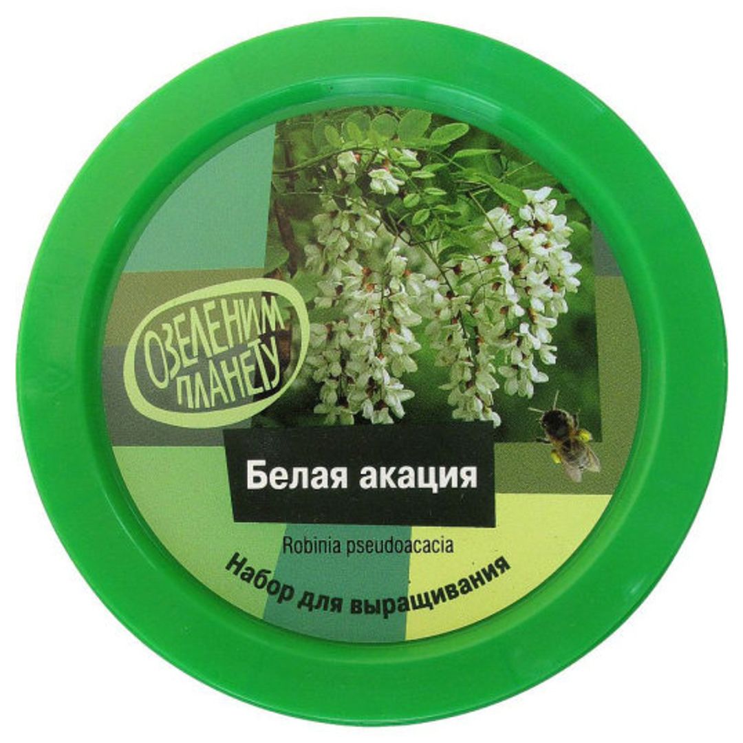 Набор для выращивания Белая акация