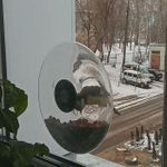 Кормушка для птиц оконная Eva Solo (большая) Отзыв