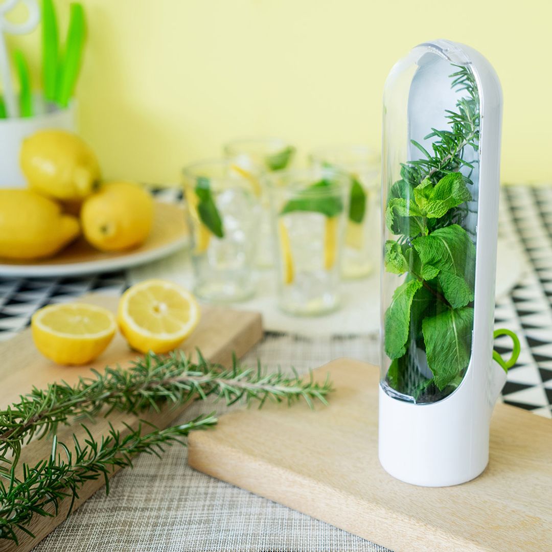 Контейнер для хранения зелени Fresh Контейнер для хранения зелени Fresh