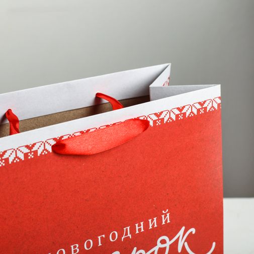 Подарочный пакет Новогодний подарок (22 х 22 х 11 см)