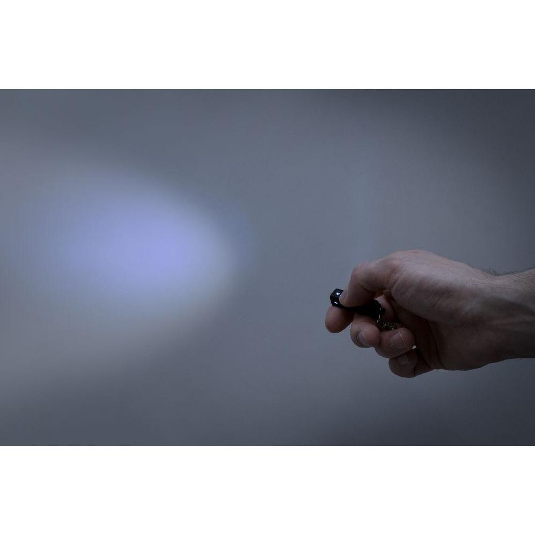 Брелок с фонариком Lumitronic (черный) Брелок с фонариком Lumitronic (черный)