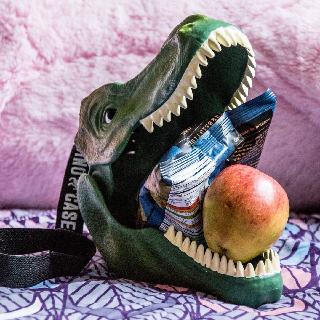 Бокс для хранения Динозавр Dinosaur