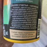 Набор для выращивания Дерево счастья катальпа Отзыв Набор для выращивания Дерево счастья катальпа Отзыв