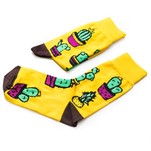 Носки Оранжерея №16 Носки Оранжерея №16