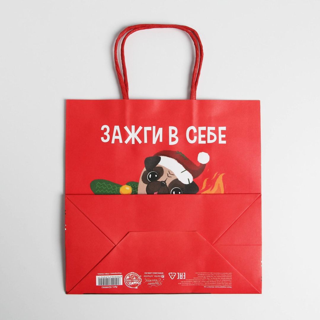 Подарочный пакет Зажги в себе (22 х 22 х 11 см)