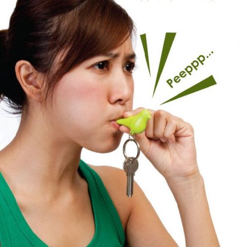 Ключница Скворечник со свистком Ключница Скворечник со свистком