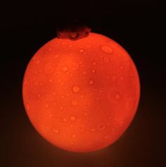 Ночник Мишка на луне Lunar Bear