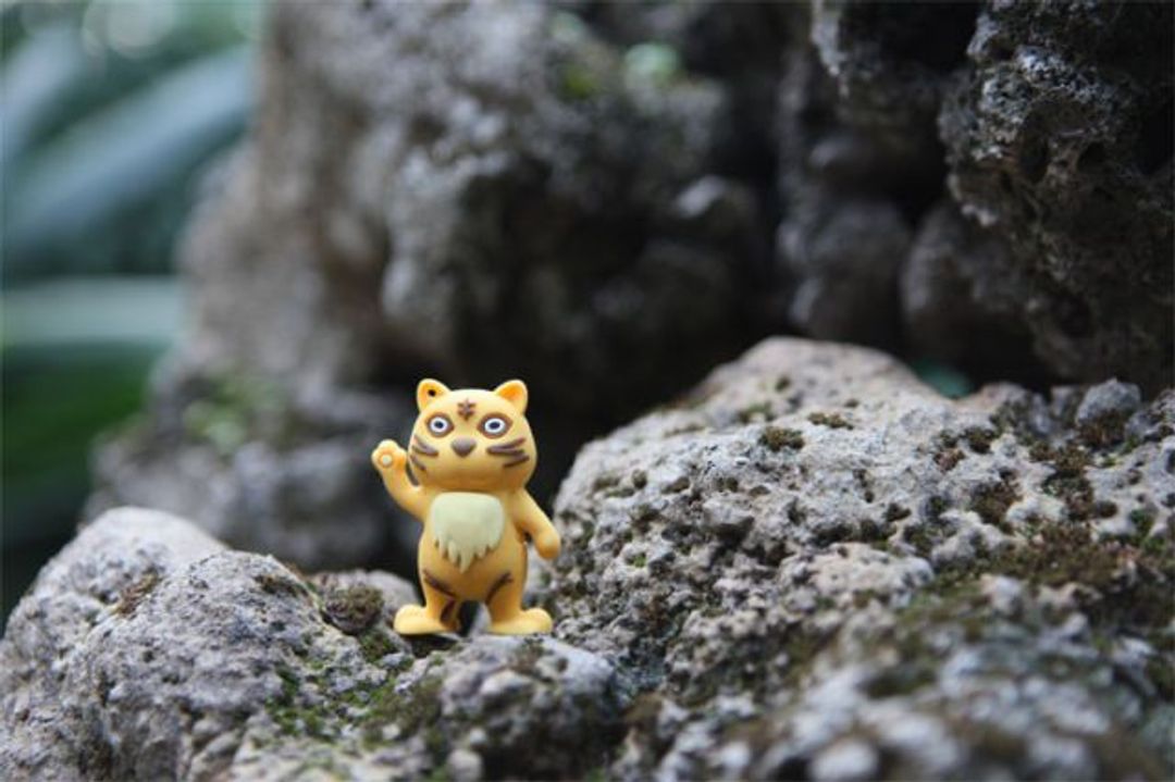 Флешка Тигр 4 Гб Флешка Тигр 4 Гб