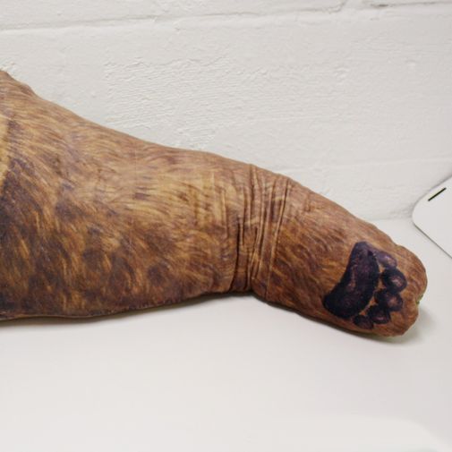 Подушка Рука медведя Bear Hug Pillow Лапа крупным планом