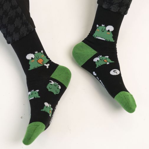 Носки Царевна уже не та, хотя еще лягушка Носки Царевна уже не та, хотя еще лягушка