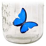 Бабочка в банке Голубая Морфо
