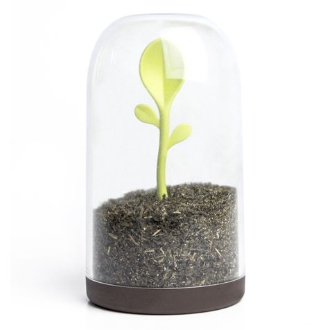 Контейнер для сыпучих продуктов Sprout Jar
