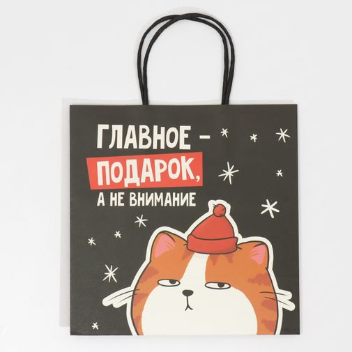 Подарочный пакет Главное подарок, а не внимание (22 х 22 х 11 см) Подарочный пакет Главное подарок, а не внимание (22 х 22 х 11 см)