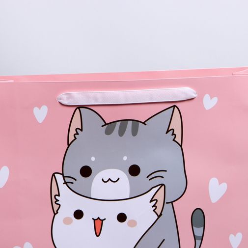 Подарочный пакет Киса (30 х 26 х 9 см) Подарочный пакет Киса (30 х 26 х 9 см)