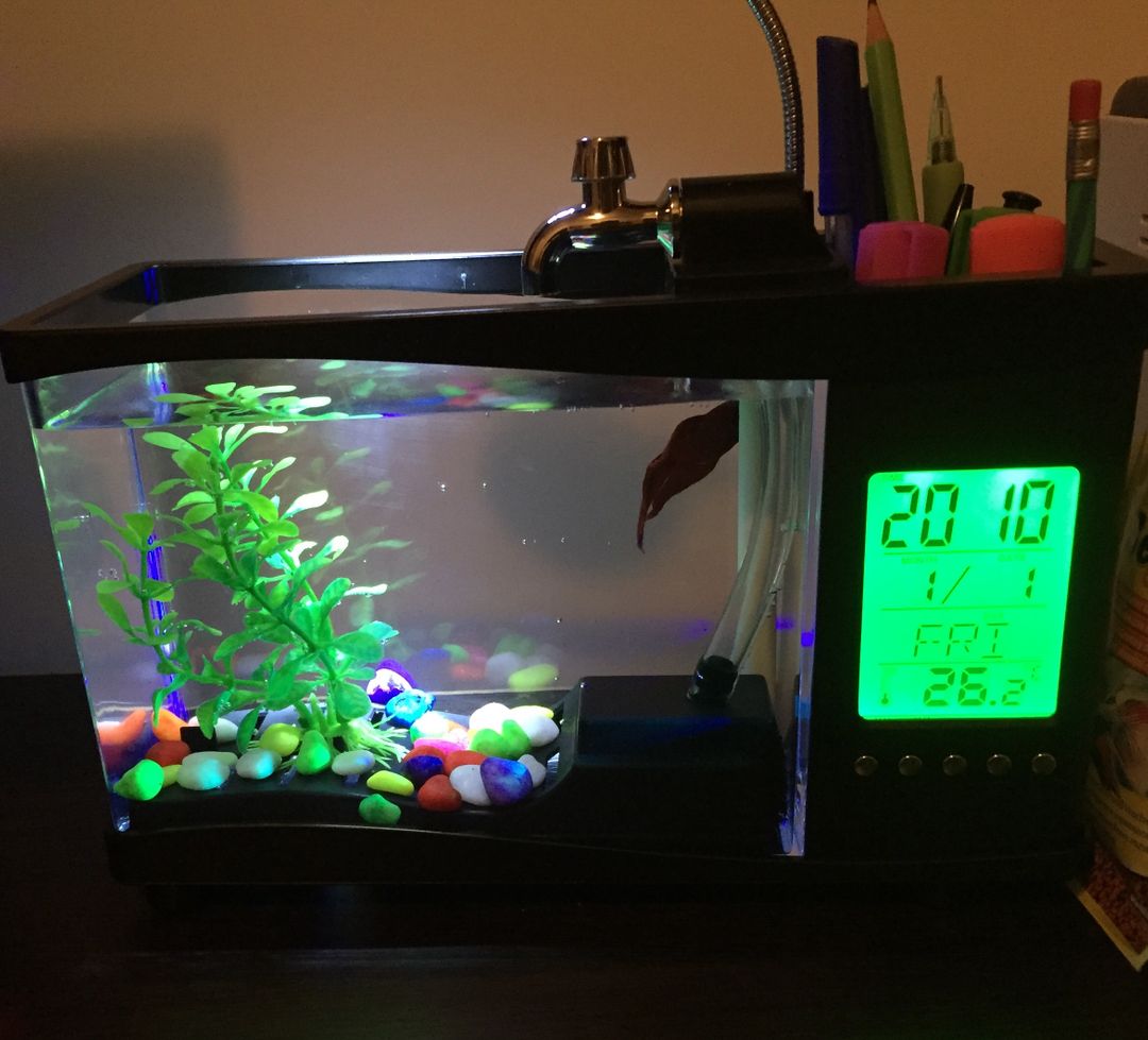 Фото покупателя Мария