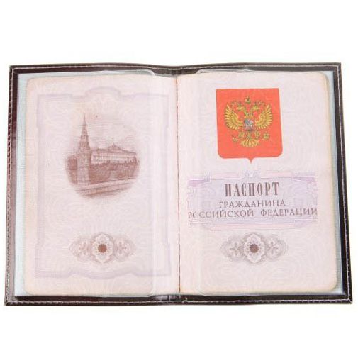 Обложка для паспорта Флеш Обложка для паспорта Флеш
