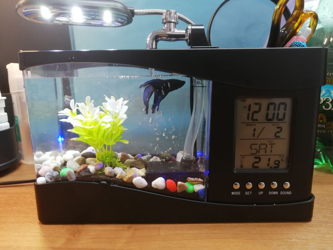 Фото покупателя Екатерина