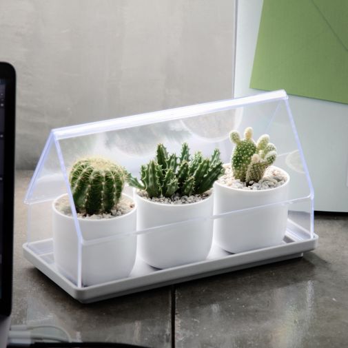 Лоток для выращивания растений Micro Green House