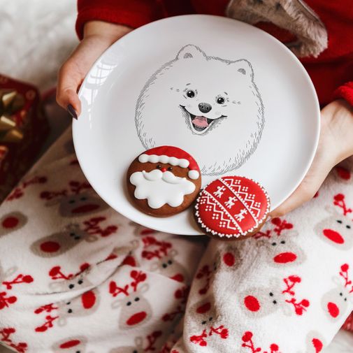 Тарелка Шпиц Еда, еда, еда! Тарелка Шпиц Еда, еда, еда!