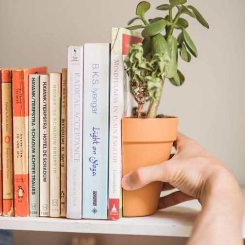 Держатель-горшок на книжной полке Держатель-горшок на книжной полке