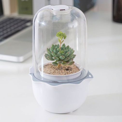 Умная теплица growUp Умная теплица growUp