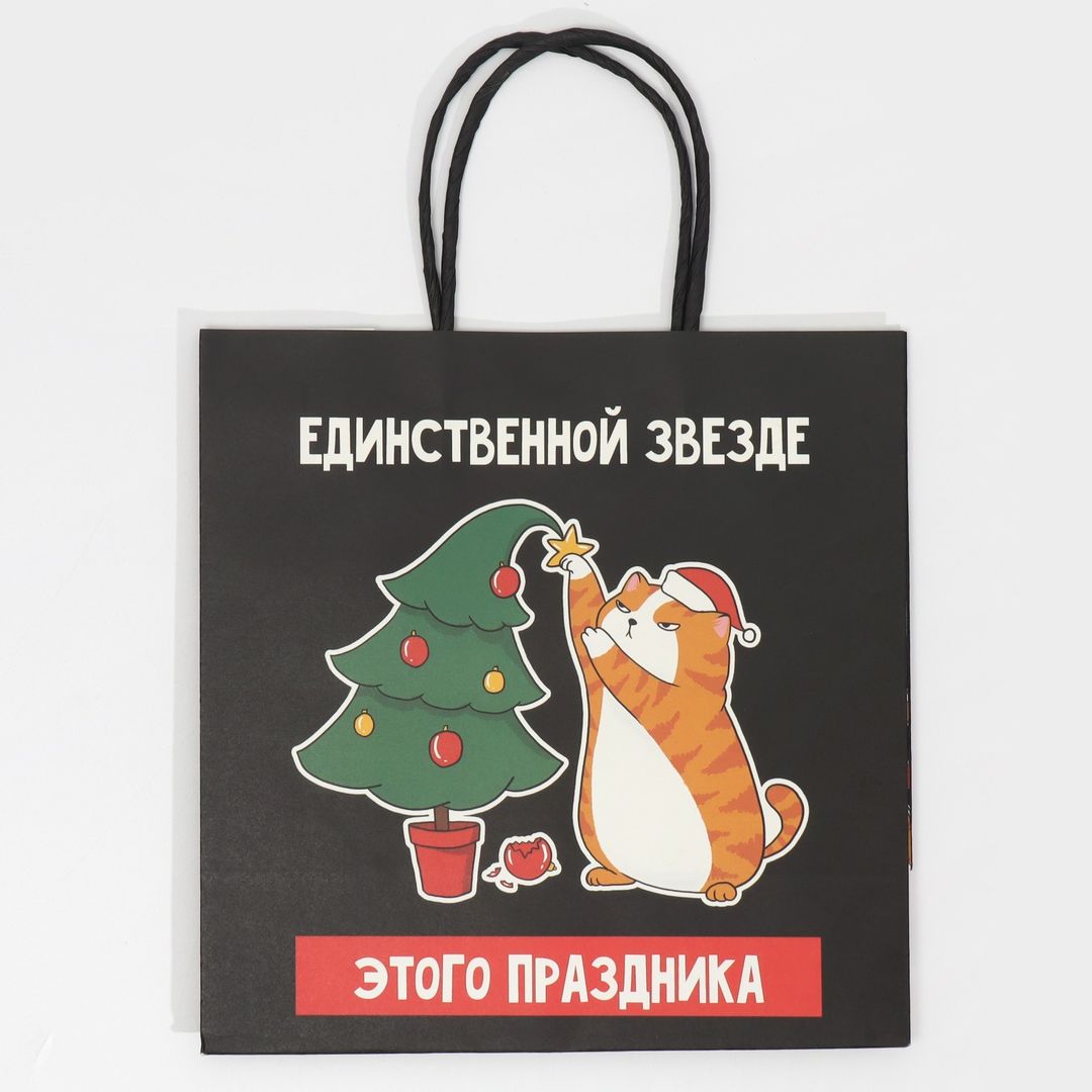 Подарочный пакет Звезда (22 х 22 х 11 см)