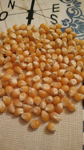 Зерно кукурузы для приготовления попкорна (500 г) купить по цене 90 руб ...