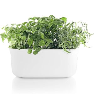 Кашпо с функцией самополива Self-watering Herb Organizer (Черный)