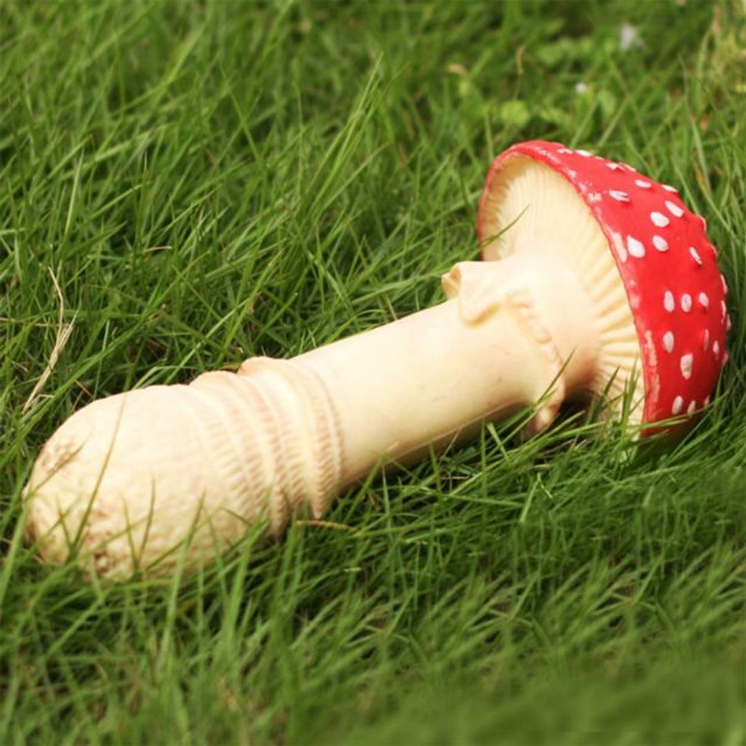 Антистресс Гриб — мухомор Антистресс Гриб — мухомор
