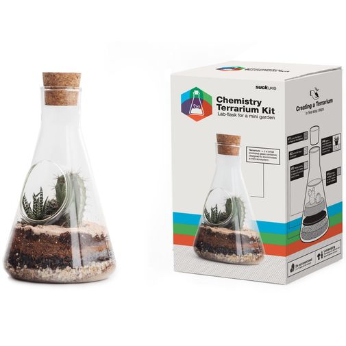 Настольный террариум для растений Chemistry Terrarium Kit