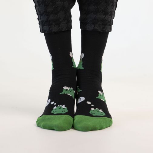 Носки Царевна уже не та, хотя еще лягушка Носки Царевна уже не та, хотя еще лягушка