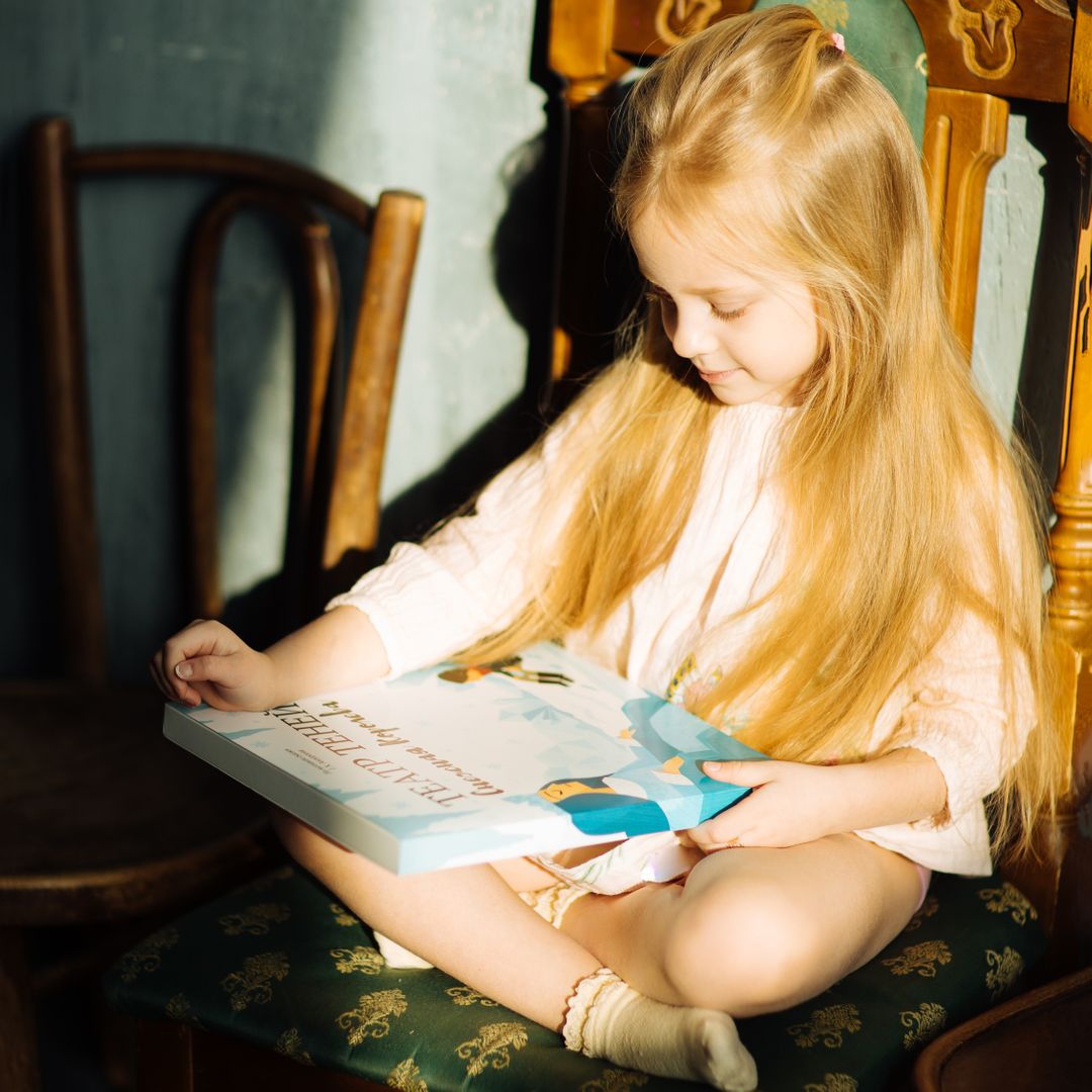 Книга Театр теней Снежная королева